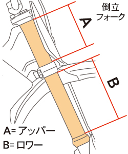 Z-CARBON フォークラップ詳細